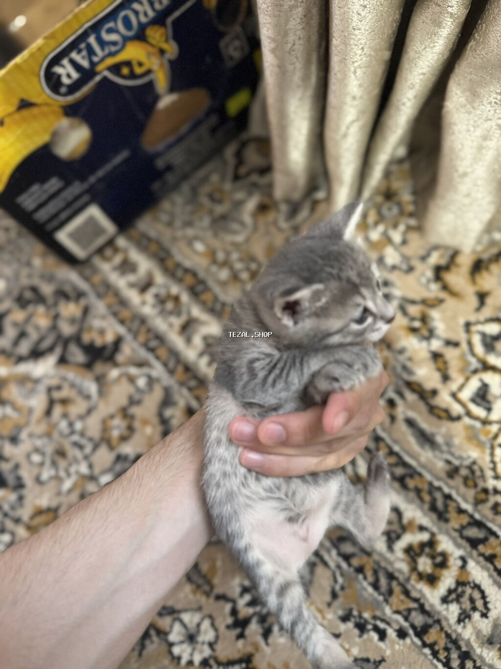 Şotland, Yaxşı əllərə, Ünvandan götürmə, Ödənişli çatdırılma - şəkil 4