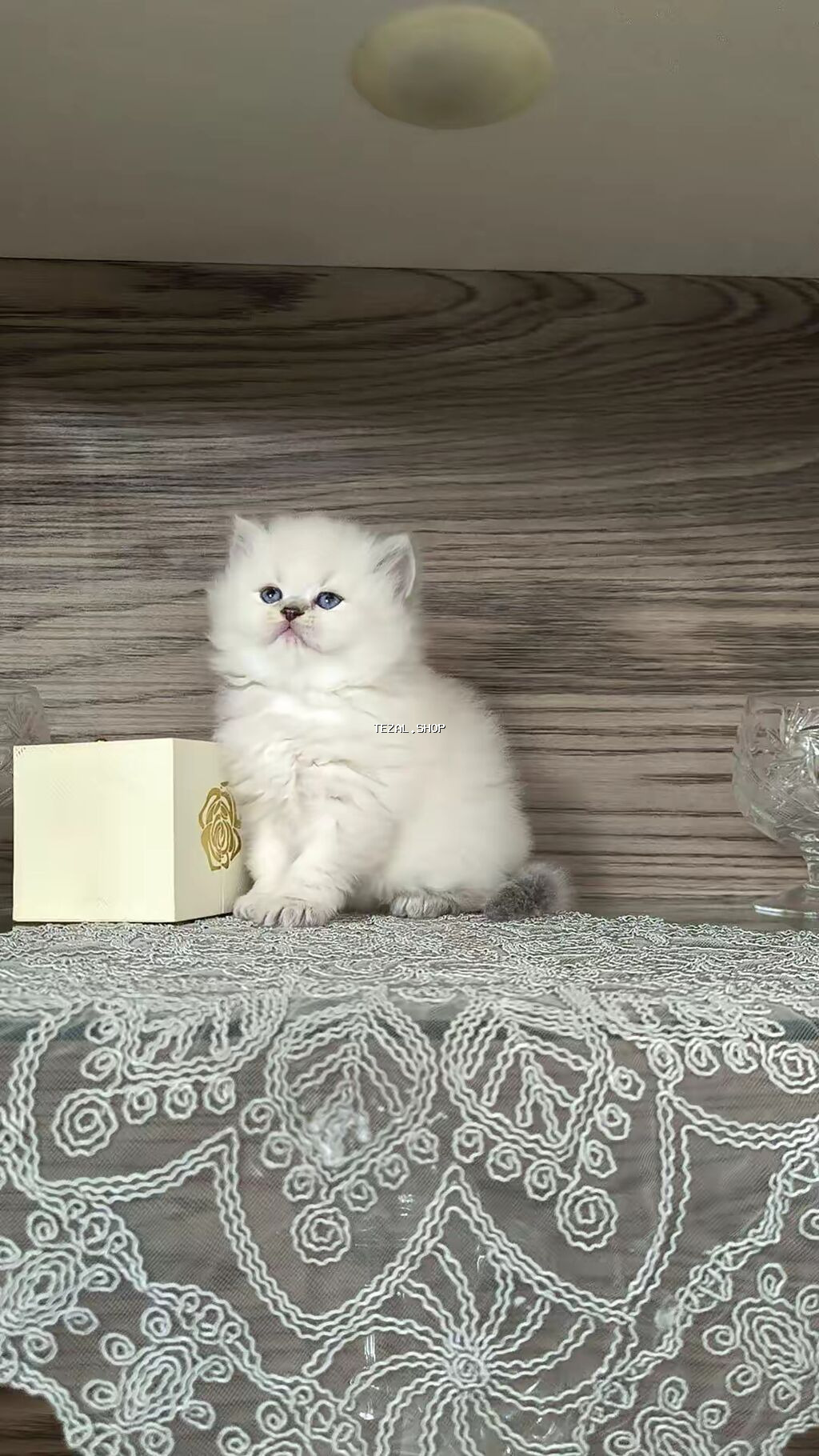 Tam sağlam uzuntüklü balalar saf Qandi. Ana ve ata şəkillərini ciddi - şəkil 2