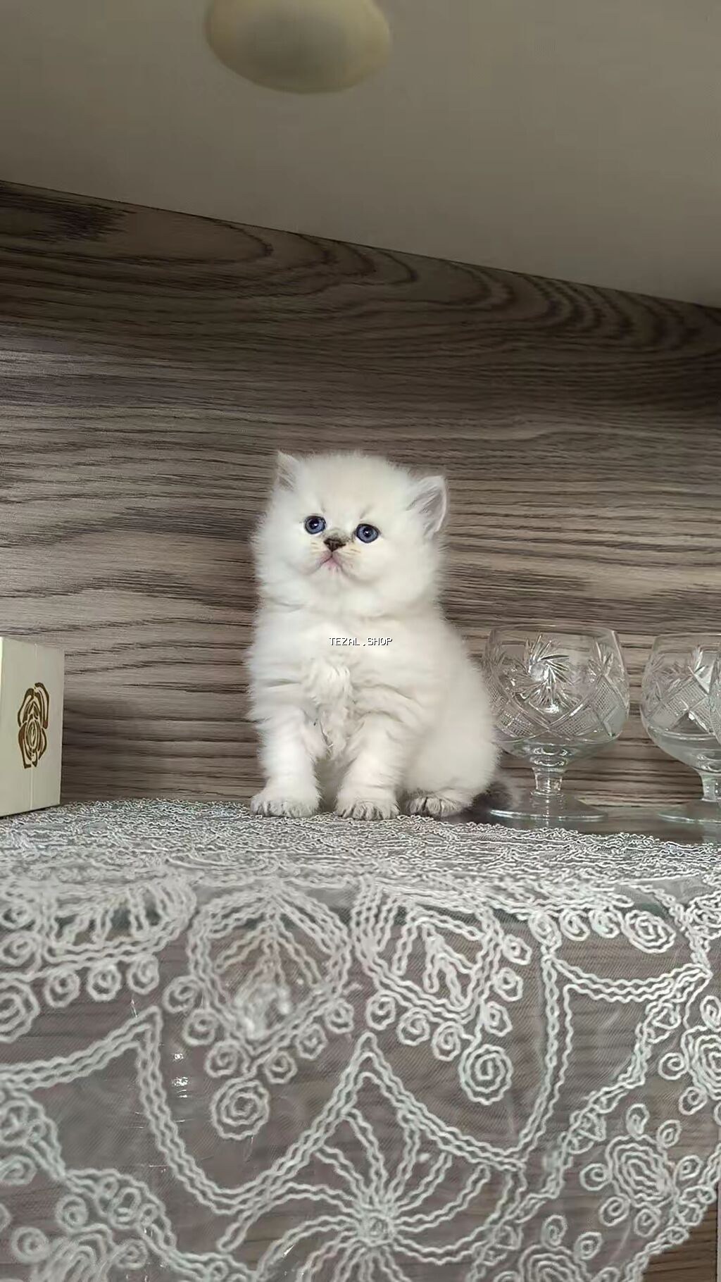 Tam sağlam uzuntüklü balalar saf Qandi. Ana ve ata şəkillərini ciddi - şəkil 3