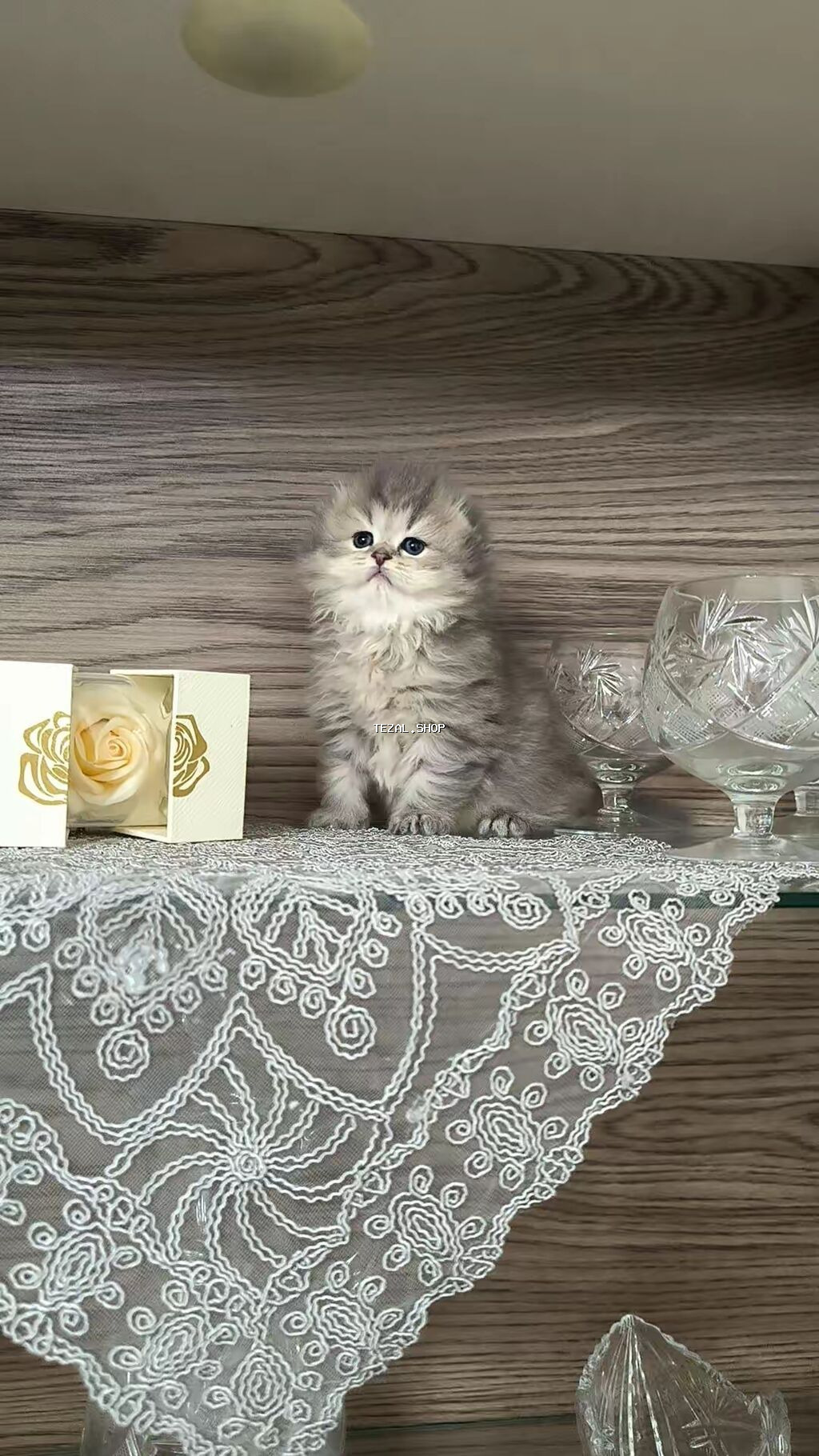 Tam sağlam uzuntüklü balalar saf Qandi. Ana ve ata şəkillərini ciddi - şəkil 4