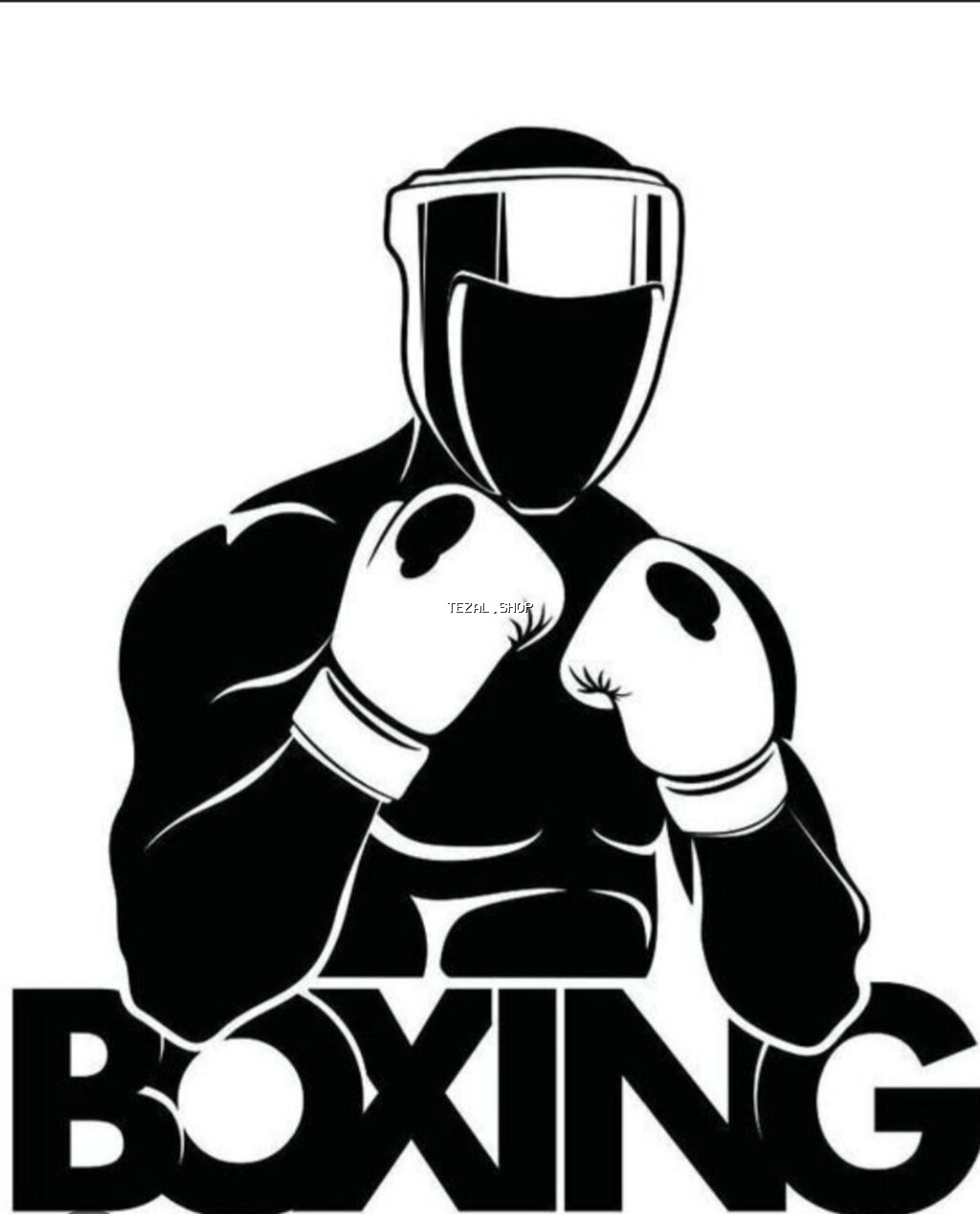 Fərdi boks dərsləri - Həftədə 3 dəfə, hər dərs 1 saat - Proqram