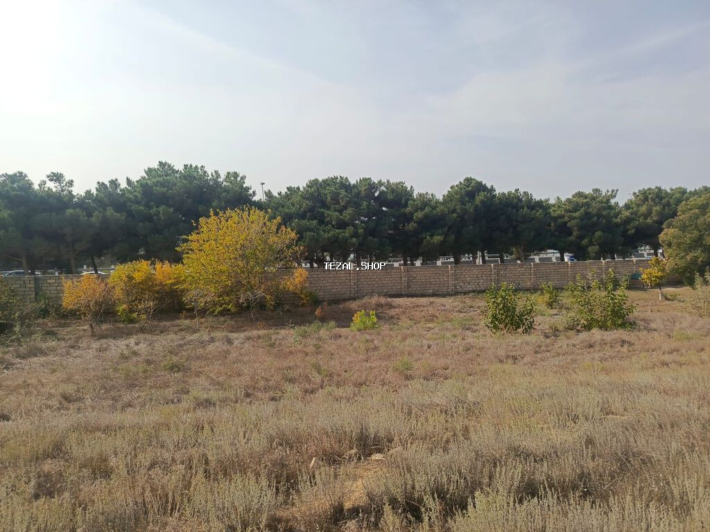 28 sot, Biznes üçün, Maklerlər narahat etməsin, Kupça (Çıxarış)