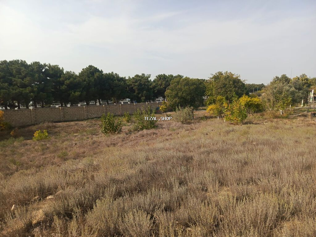 28 sot, Biznes üçün, Maklerlər narahat etməsin, Kupça (Çıxarış) - şəkil 2