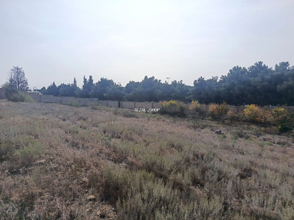 28 sot, Biznes üçün, Maklerlər narahat etməsin, Kupça (Çıxarış) - şəkil 3