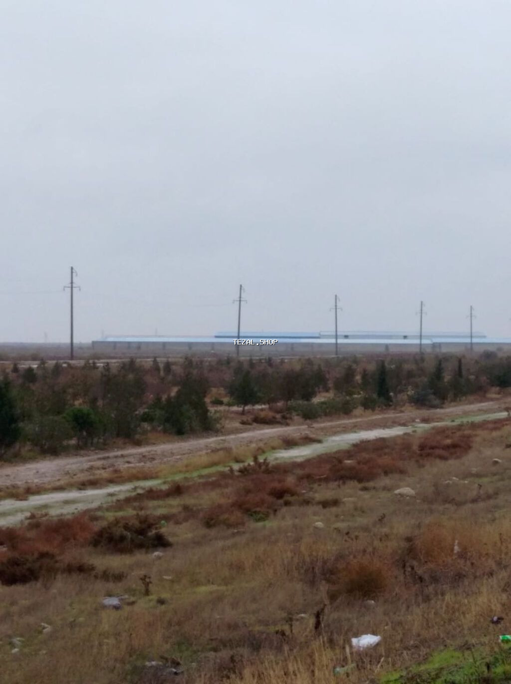 10000 sot, Kənd təsərrüfatı, Maklerlər narahat etməsin, Kupça (Çıxarış)