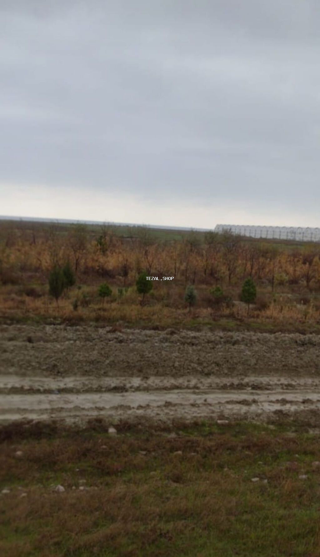 10000 sot, Kənd təsərrüfatı, Maklerlər narahat etməsin, Kupça (Çıxarış) - şəkil 2