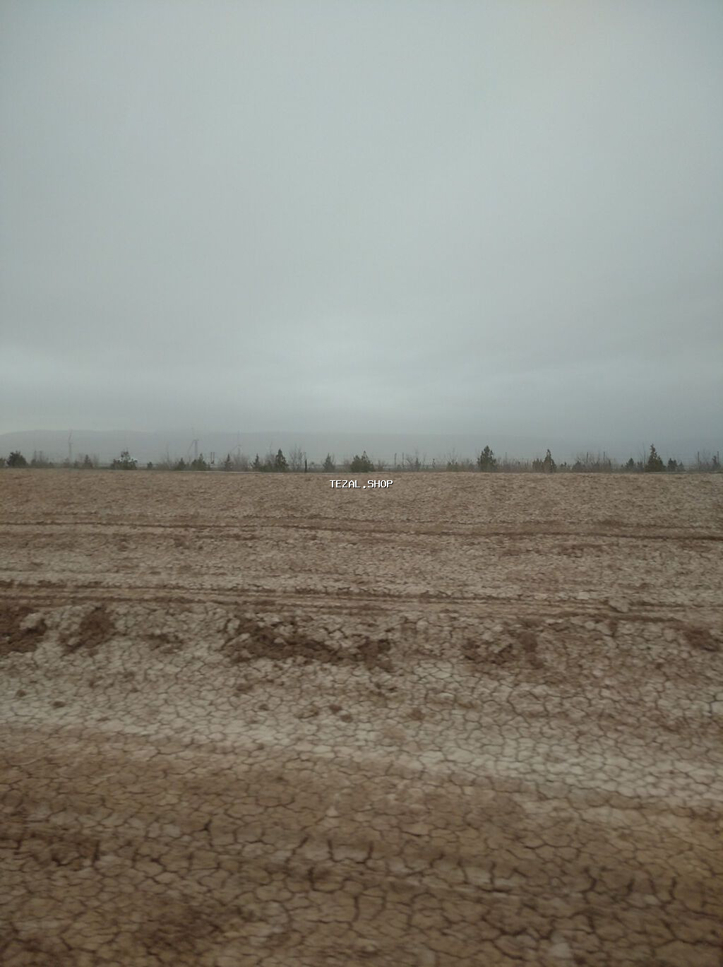 10000 sot, Kənd təsərrüfatı, Maklerlər narahat etməsin, Kupça (Çıxarış) - şəkil 4