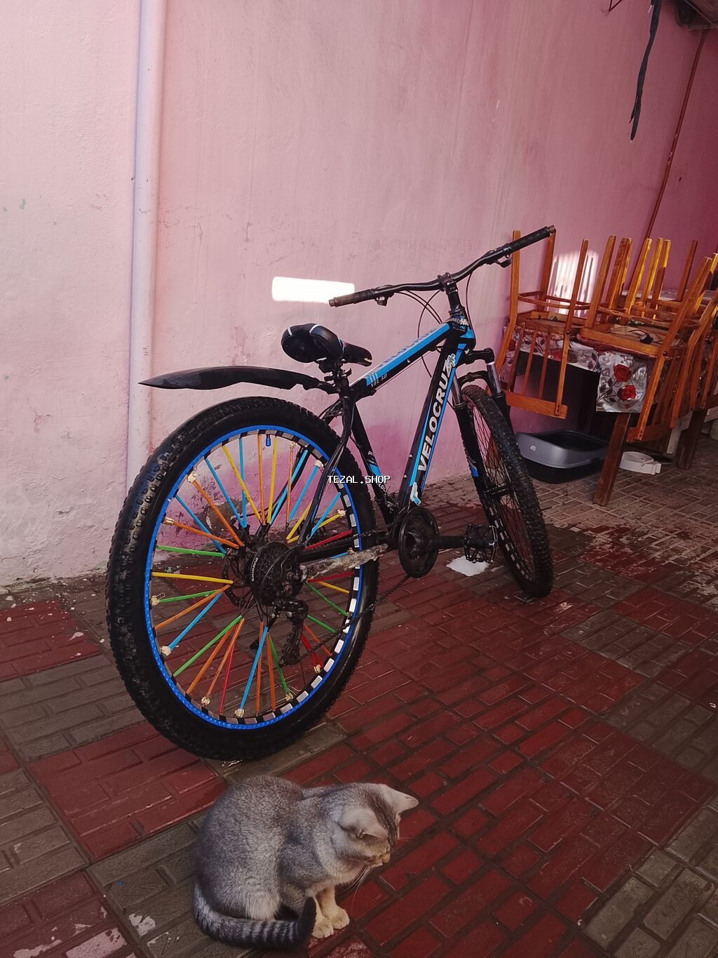 Real alıcıya endirim olunacaq (yanındakı pişiy hədiyə verilir)