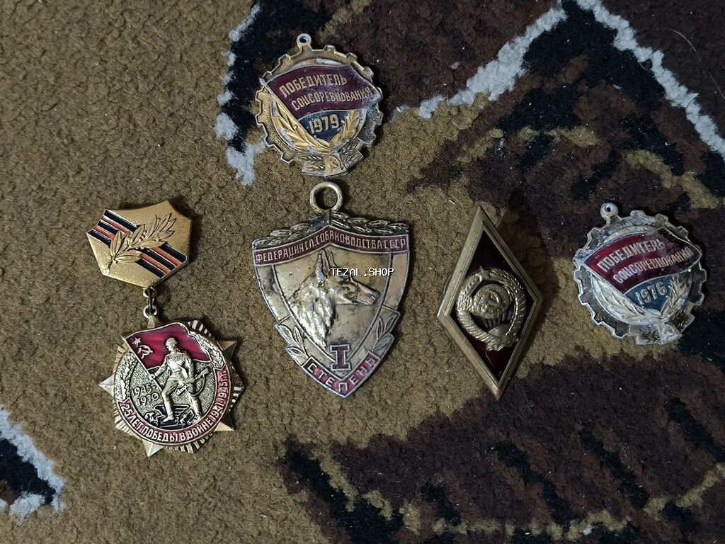 Riyal alçı zeng elsin - şəkil 2