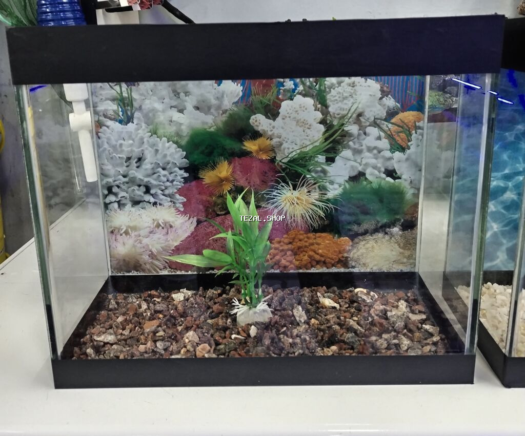 Dördbucaq akvarium, Balıqlarla birlikdə, 10 l, Ünvandan götürmə, Pulsuz çatdırılma, Ödənişli çatdırılma