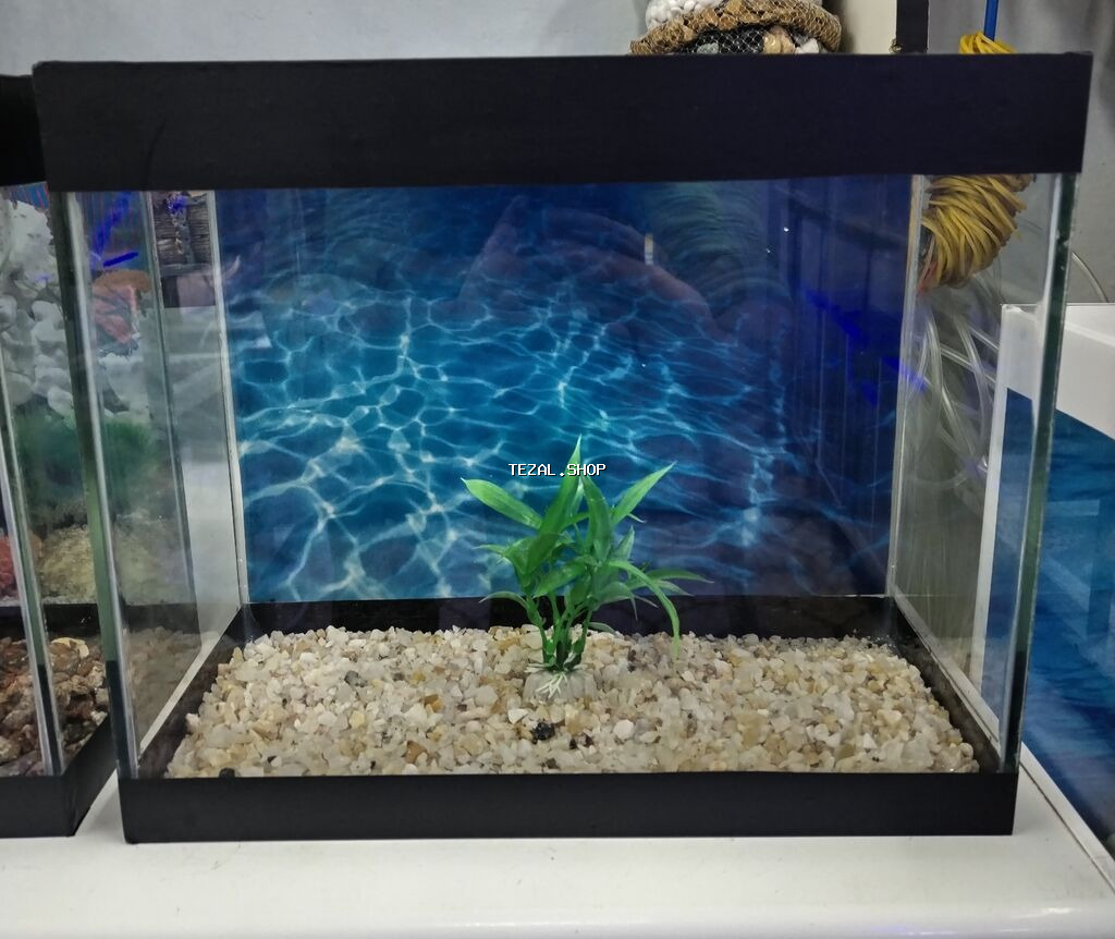 Dördbucaq akvarium, Balıqlarla birlikdə, 10 l, Ünvandan götürmə, Pulsuz çatdırılma, Ödənişli çatdırılma - şəkil 2
