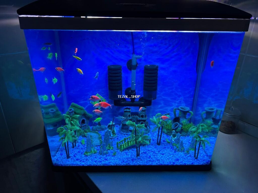 250 manat unvandan teslım teze elave das aksesuar hava fıltırları - şəkil 3