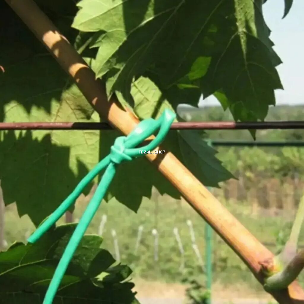 ✅ Aqrotel, ✅ Kembrik ✅ Rezin İp İstifadə: Ağac Tingləri, Meyvə - şəkil 2