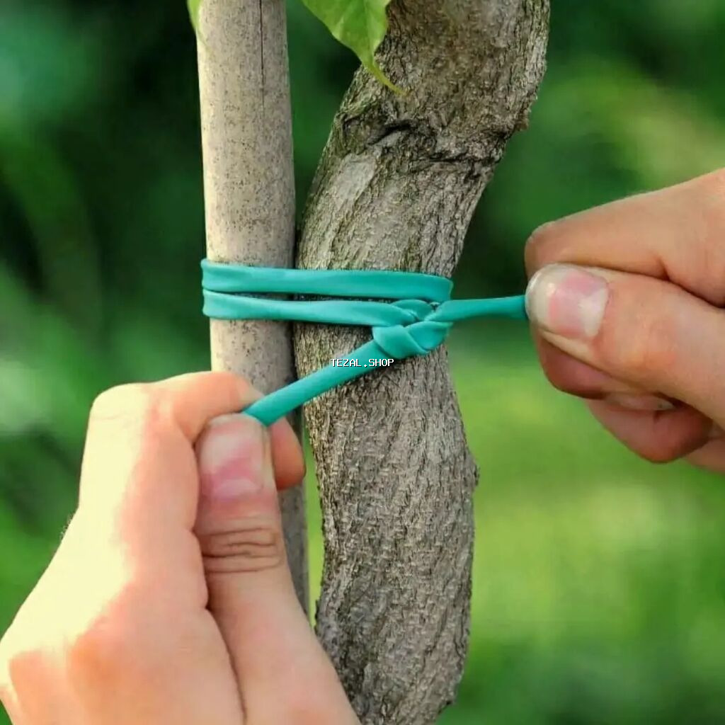 ✅ Aqrotel, ✅ Kembrik ✅ Rezin İp İstifadə: Ağac Tingləri, Meyvə - şəkil 3