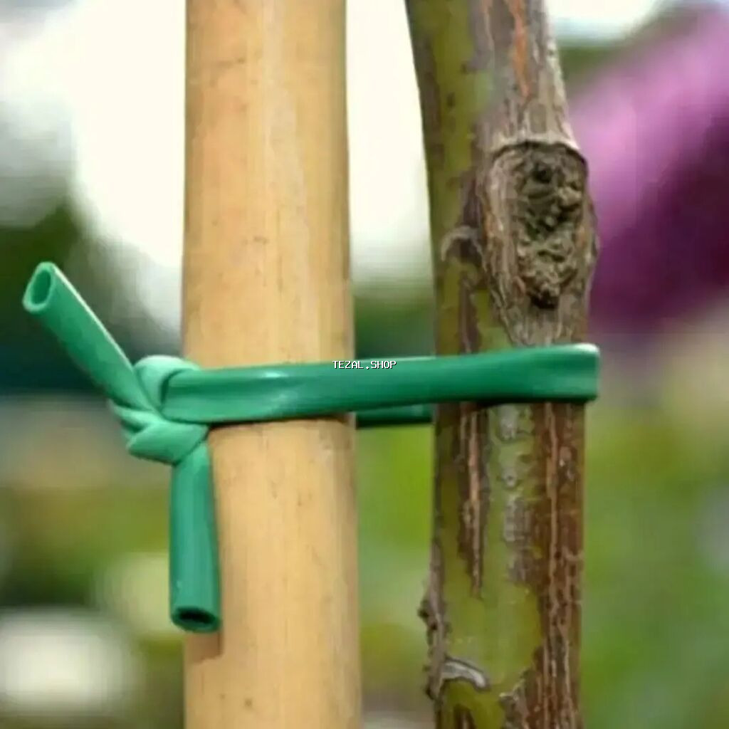 ✅ Aqrotel, ✅ Kembrik ✅ Rezin İp İstifadə: Ağac Tingləri, Meyvə - şəkil 5