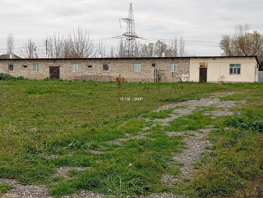 Ferma 60 sot sahəsində yerləşir. Qaz,su,işiq daimidir. Şəxsi artezani