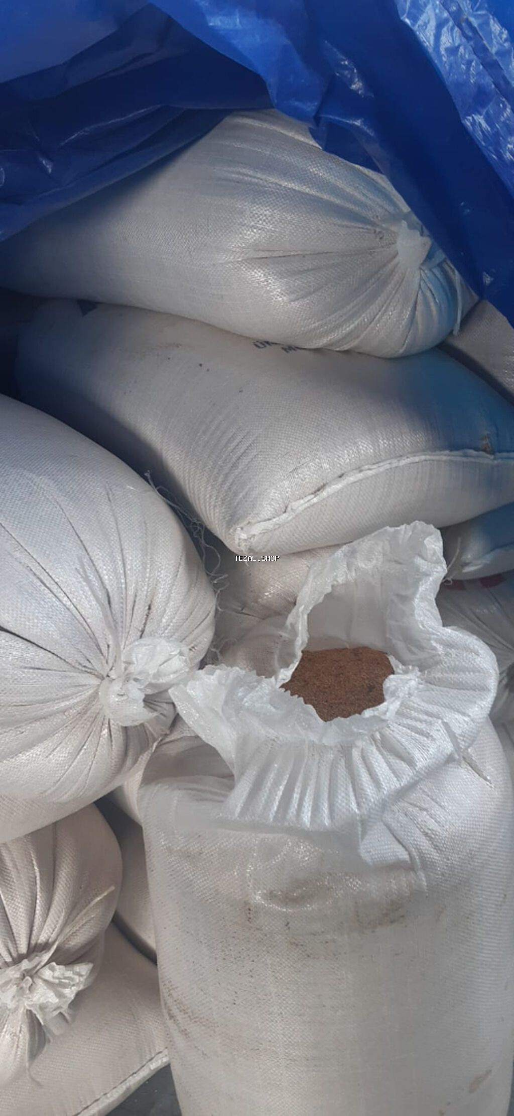 Toxumlux Ağ dari 5 ton var - şəkil 4