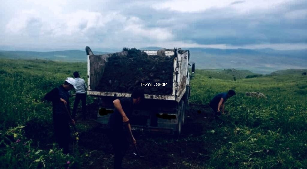 Mehdiabad torpagi qara torpag yanmis mal peyini ve s - şəkil 4