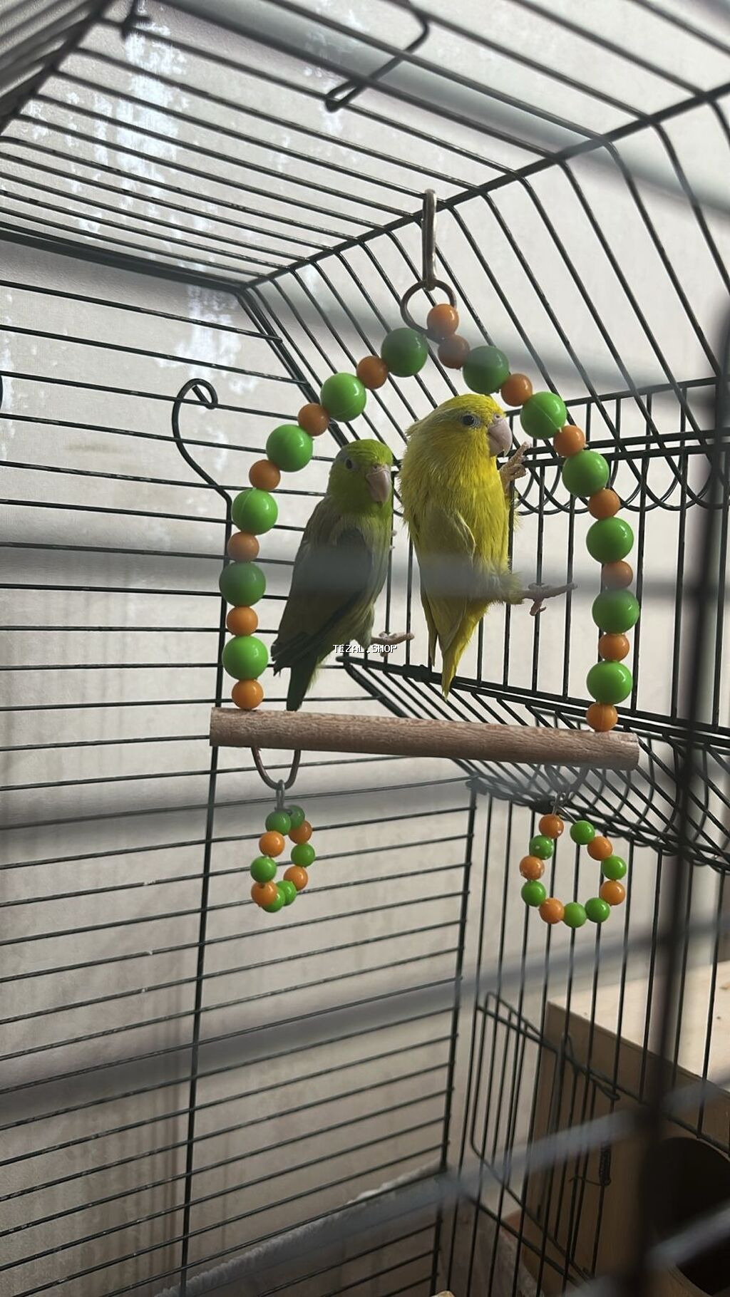 Hazir cut forpus barterde olunur 1 cut fiserle vp 0778020924 - şəkil 2