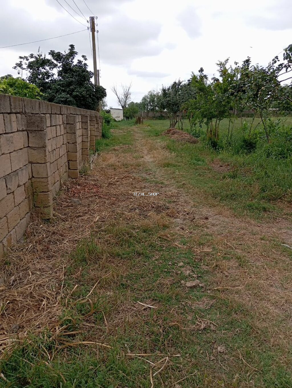 Torpaq sahəsi və həyət evi 20sot torpaq sahesi Parça xalac kend Yolu - şəkil 2