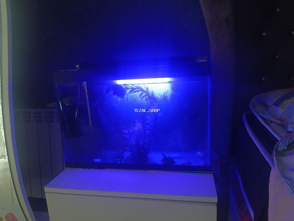 Salam. Akvarium satılır. 0.60x0.40x0.25. Balıqlar, şüşə təmizləyən