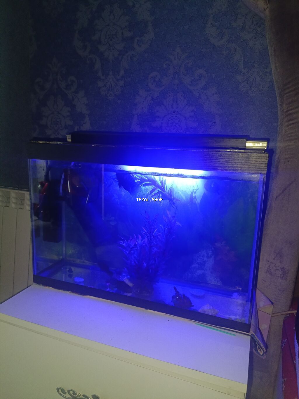 Salam. Akvarium satılır. 0.60x0.40x0.25. Balıqlar, şüşə təmizləyən - şəkil 3