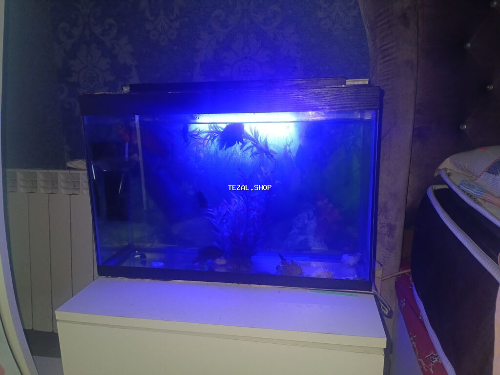 Salam. Akvarium satılır. 0.60x0.40x0.25. Balıqlar, şüşə təmizləyən - şəkil 5