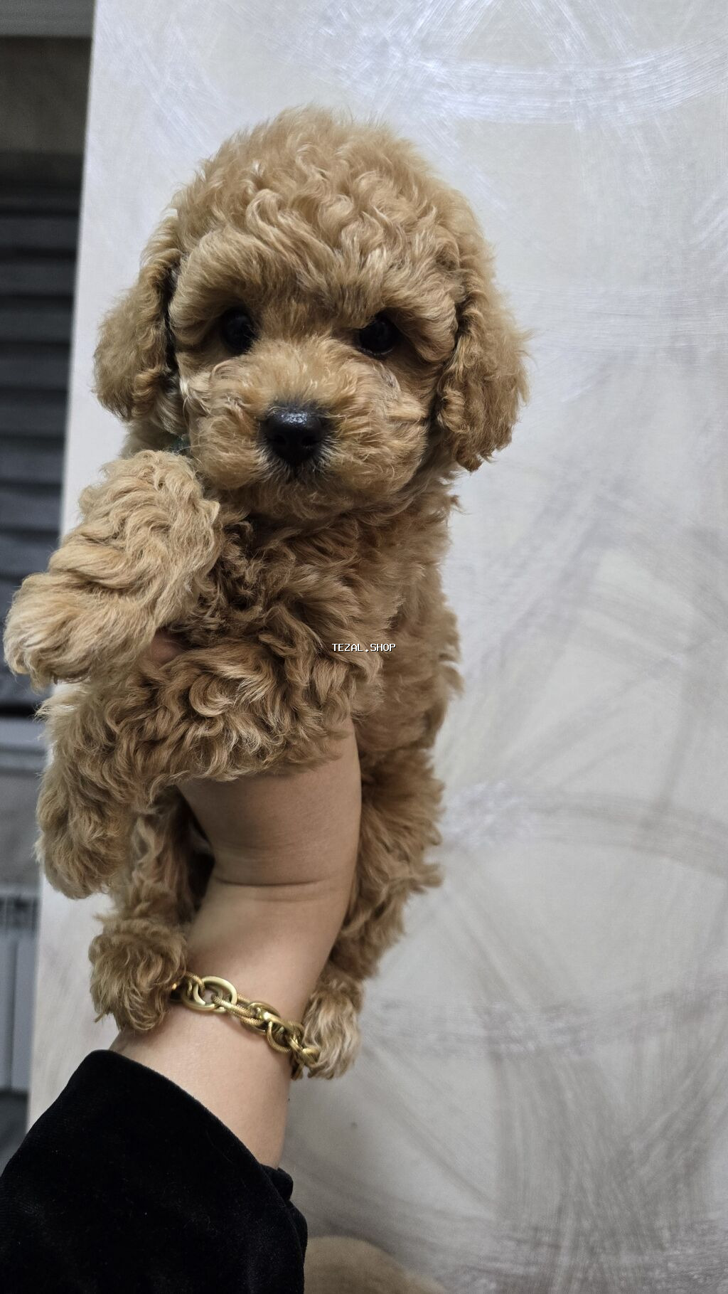 Ödənişli çatdırılma - şəkil 2