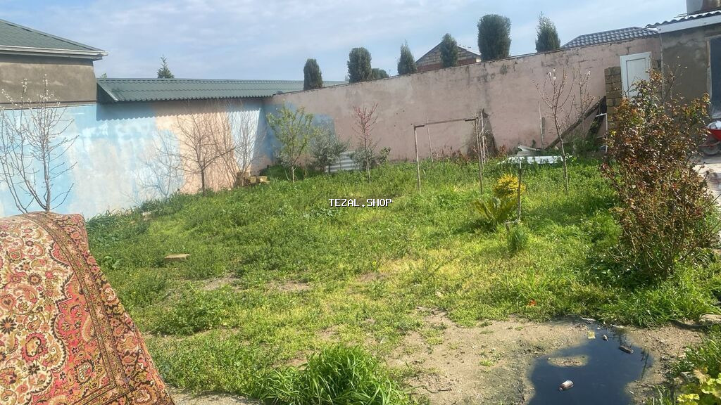 Biznes üçün, İşıq