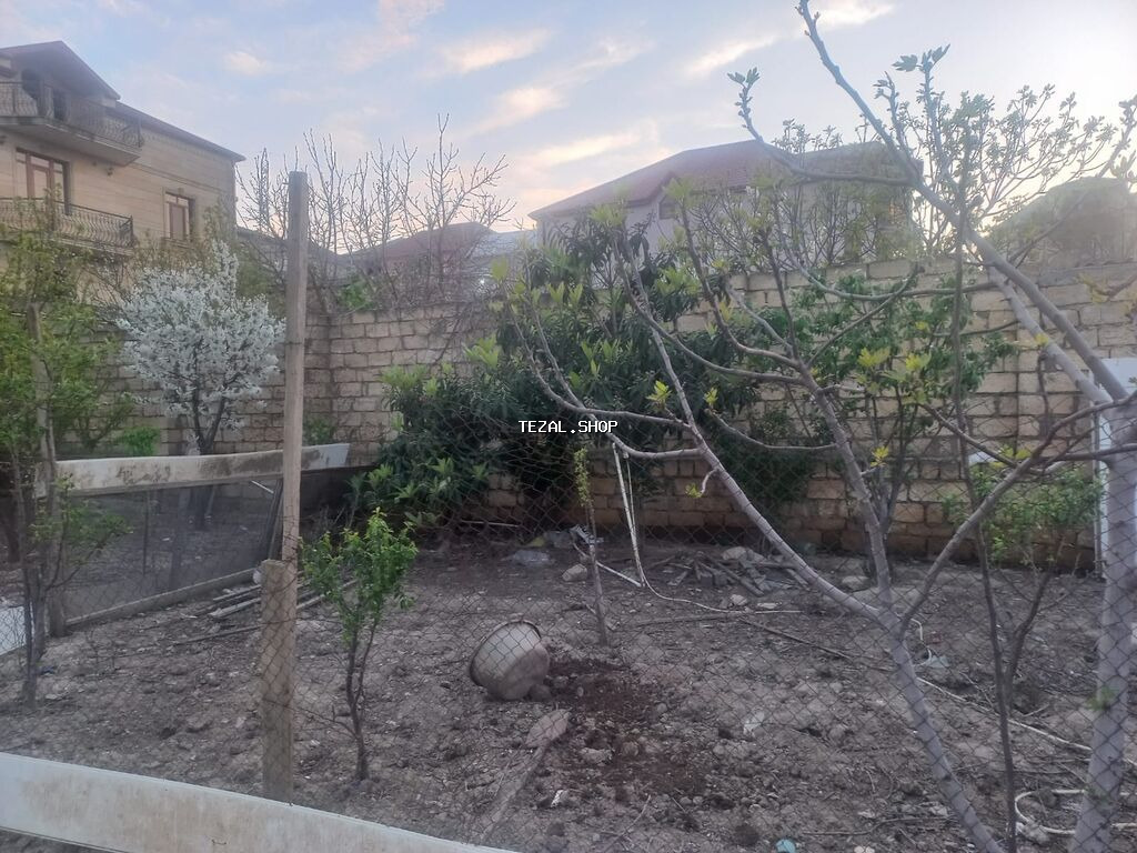 4 sot, Bələdiyyə - şəkil 5