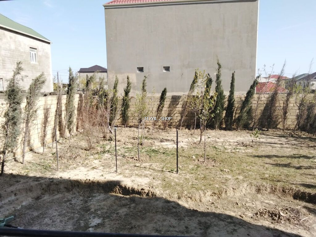 3 sot, Biznes üçün, Barter mümkündür, Kupça (Çıxarış) - şəkil 5