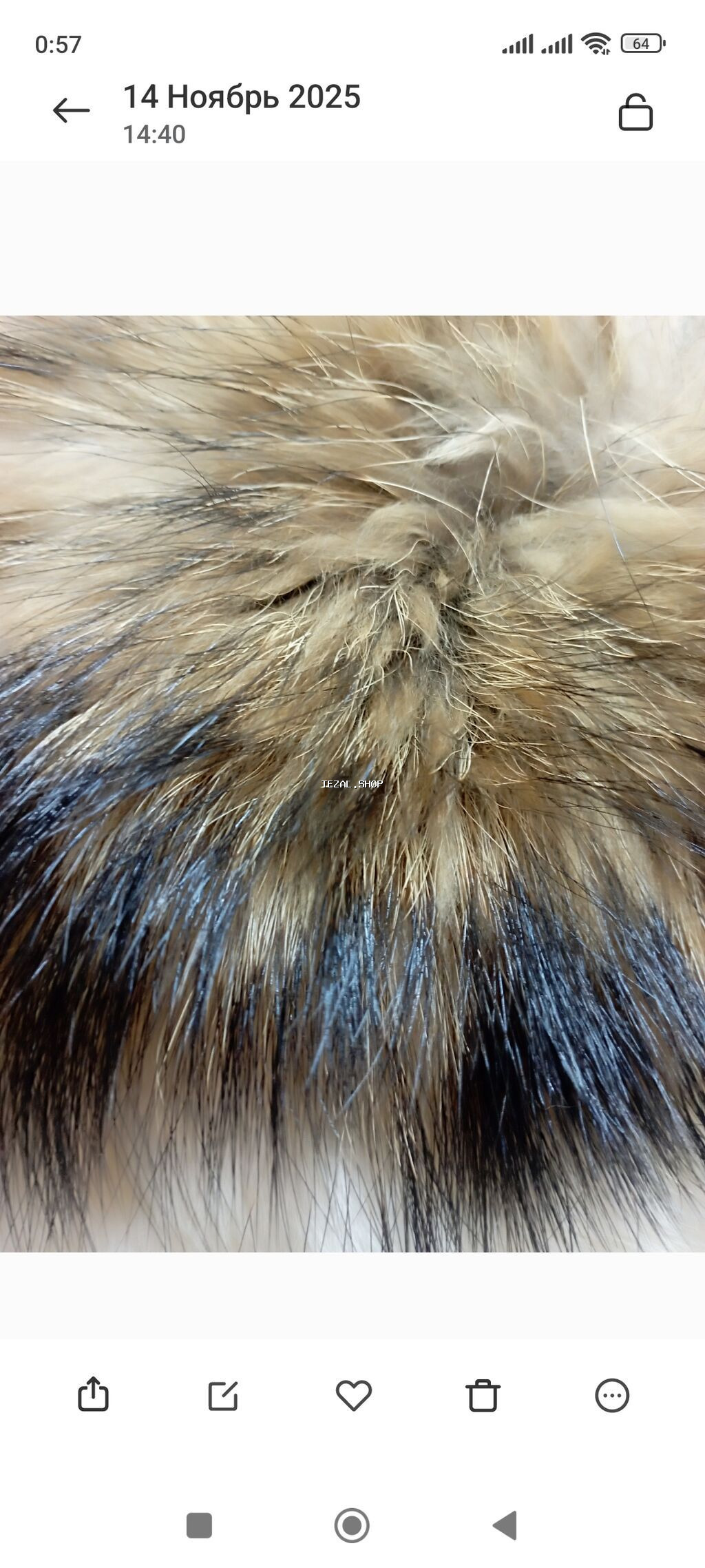 Tulum, L - şəkil 3