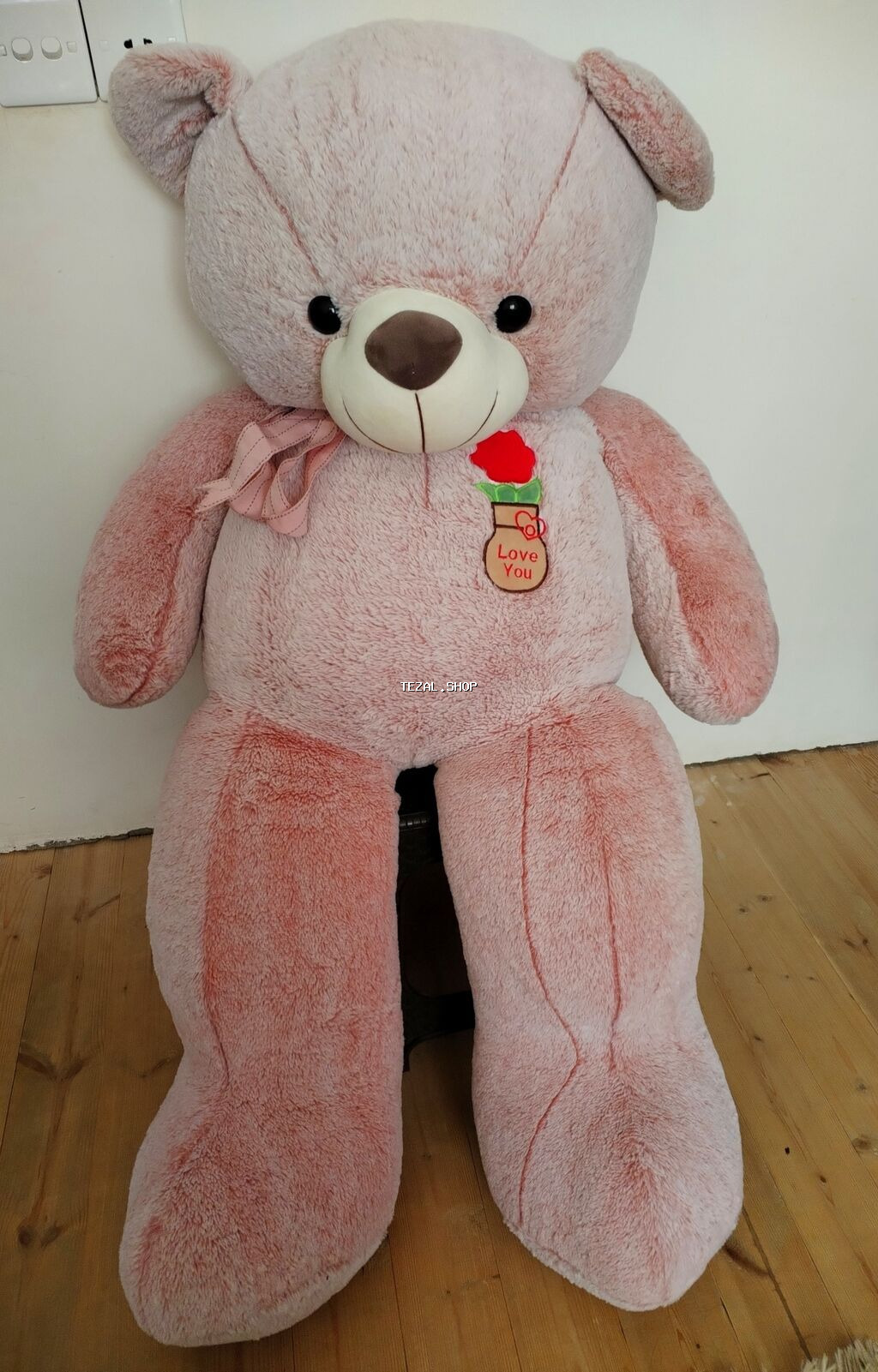 Oyuncaq ayı(Yalnız Bakı ərazi üçün keçərlidir.)