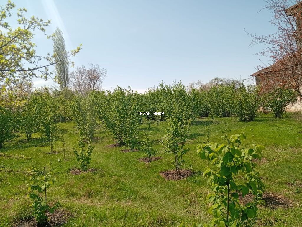 22 sot, Tikinti, Mülkiyyətçi, Kupça (Çıxarış) - şəkil 2