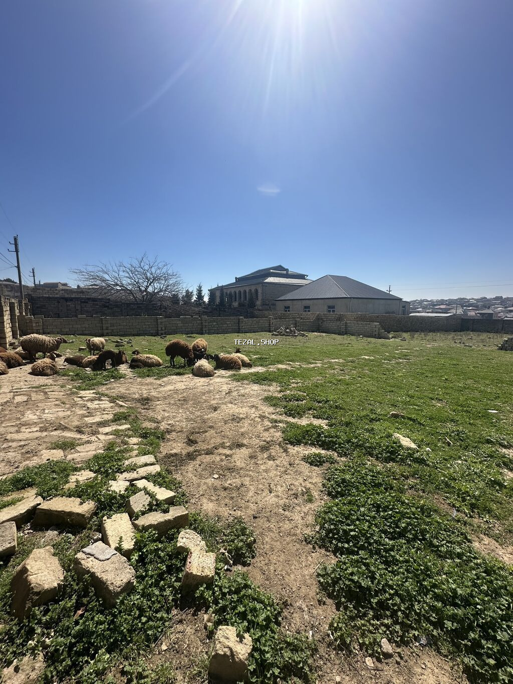 6 sot, Tikinti, Maklerlər narahat etməsin, Kupça (Çıxarış) - şəkil 4