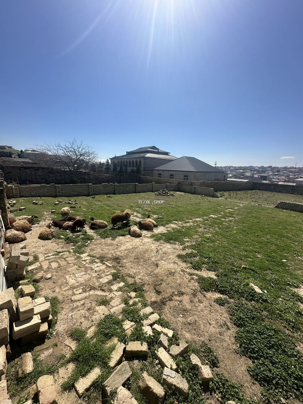 6 sot, Tikinti, Maklerlər narahat etməsin, Kupça (Çıxarış) - şəkil 5