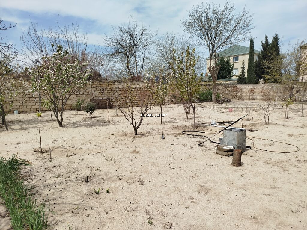 10 sot, Tikinti, Maklerlər narahat etməsin, Kupça (Çıxarış) - şəkil 4