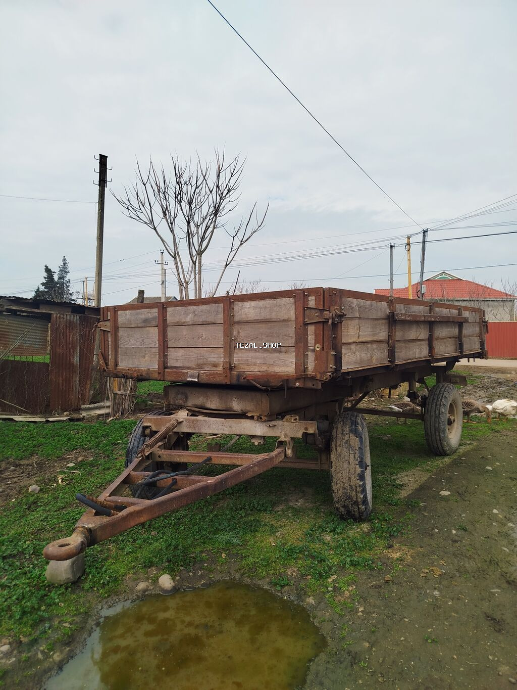 Pirsep zavoddu hər bir şeyi qaydasındadı qiymətlə bağlı əlaqə
