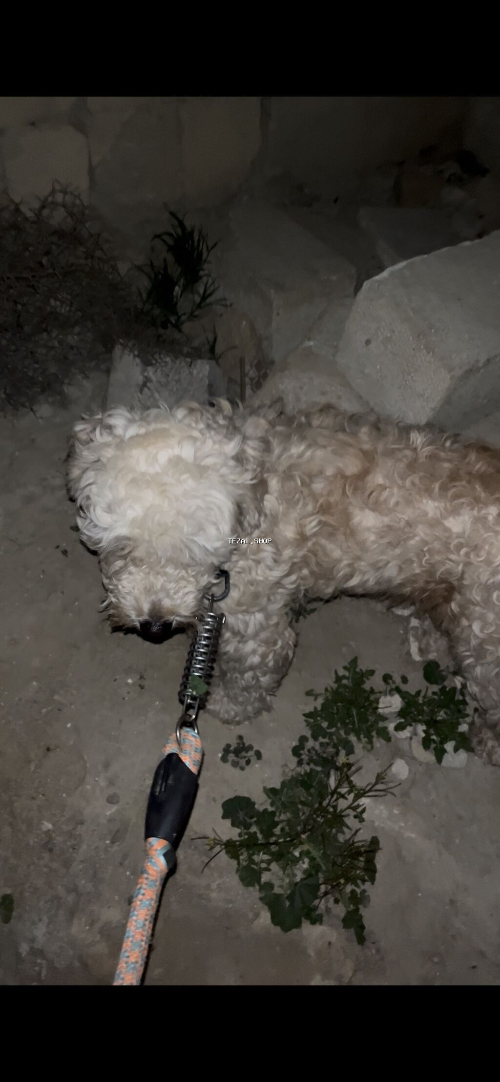 Razilasma yolu ile reyal aliciya yuksek endirim olacaq