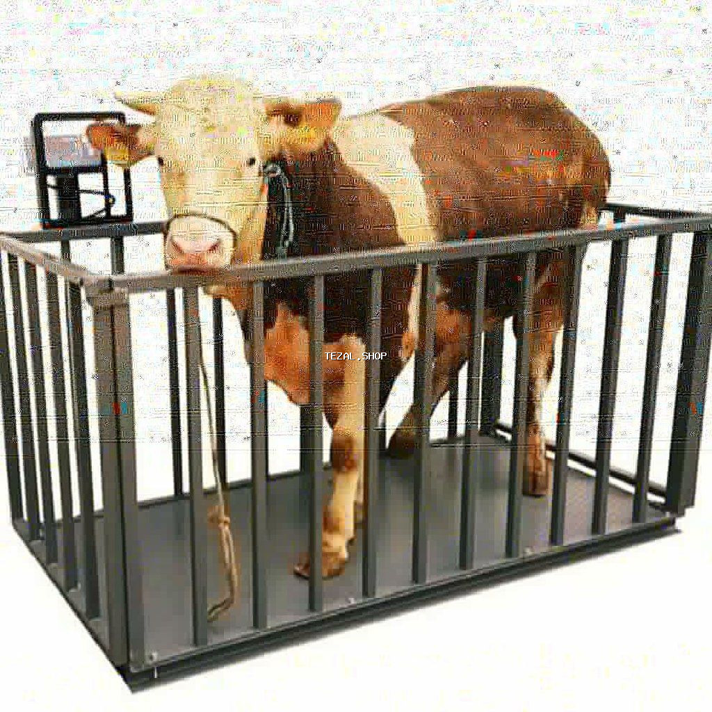 Terezi satisi - şəkil 4