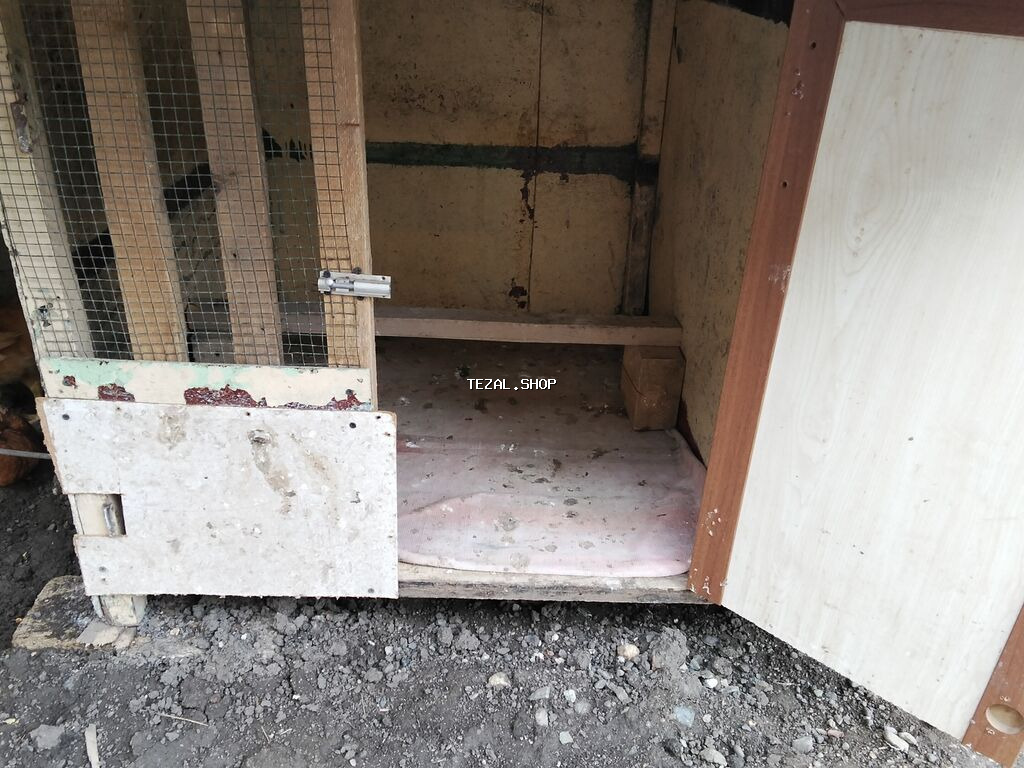 Digər heyvanlar - şəkil 3