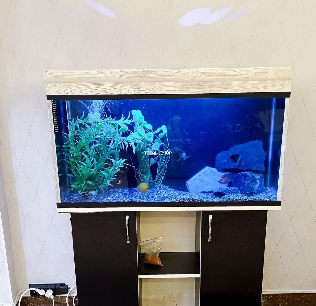 Akvarium servisi
Akvarium təmizləmə xidməti