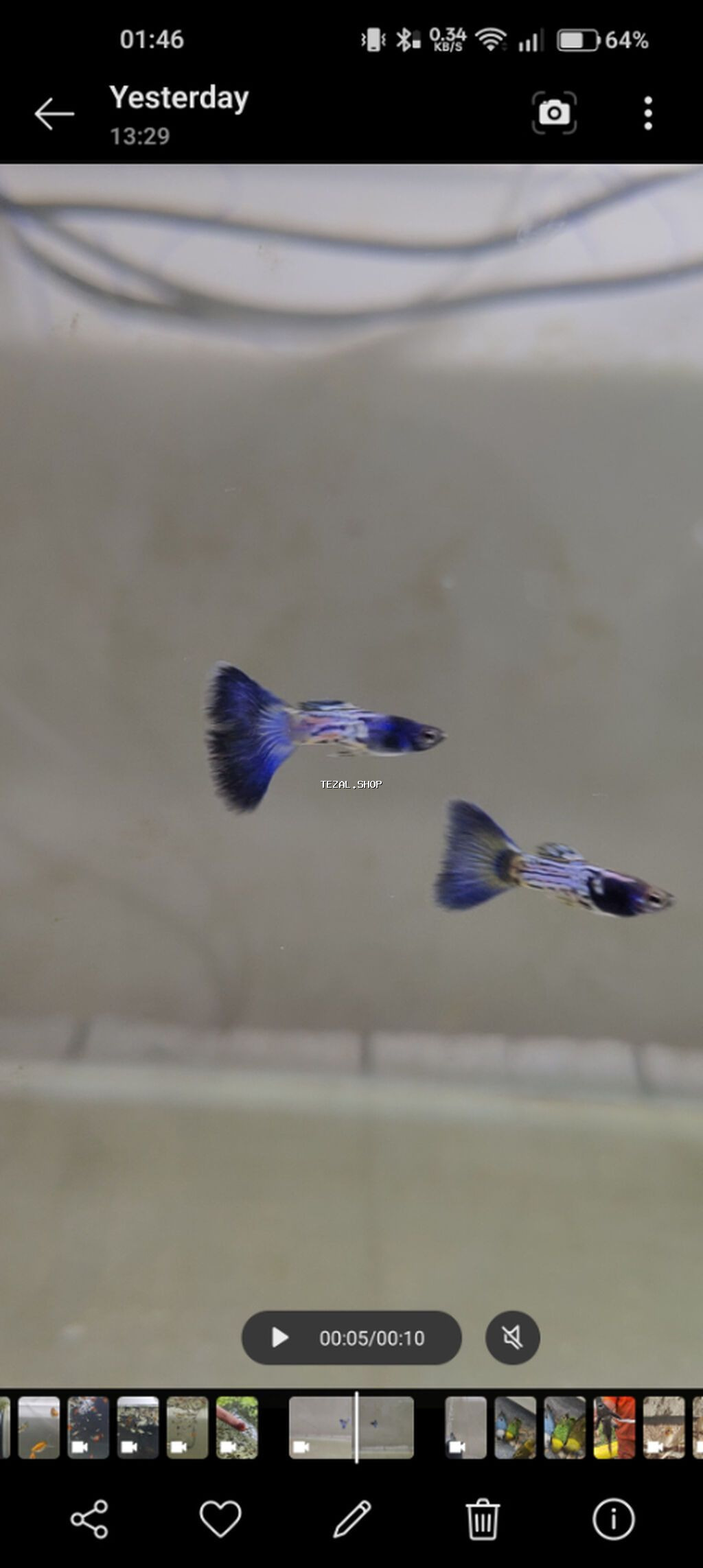 Quppi, Sülhsevər, Ödənişli çatdırılma