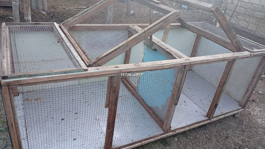 Salam Buyurub isteyen Elqe saxlasin Fanarkadan Hazirlanmayib Tam özune