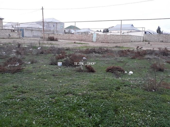 6 sot, Makler - şəkil 4