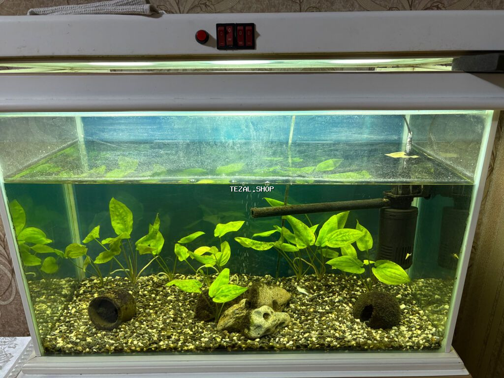 Akvarium və mebeli satılır. Akvarium ölçüsü 30*45*70 - şəkil 3
