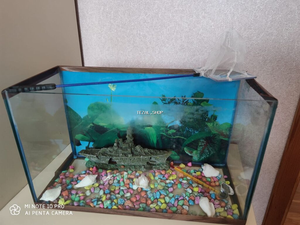 Akvarium butun aksesuarları ilə biryerdə satılır 60azn