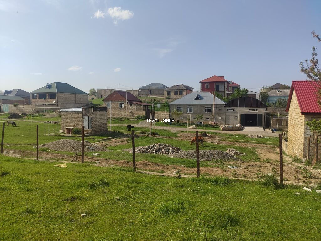 5 sot, Tikinti, Mülkiyyətçi, Kupça (Çıxarış) - şəkil 2