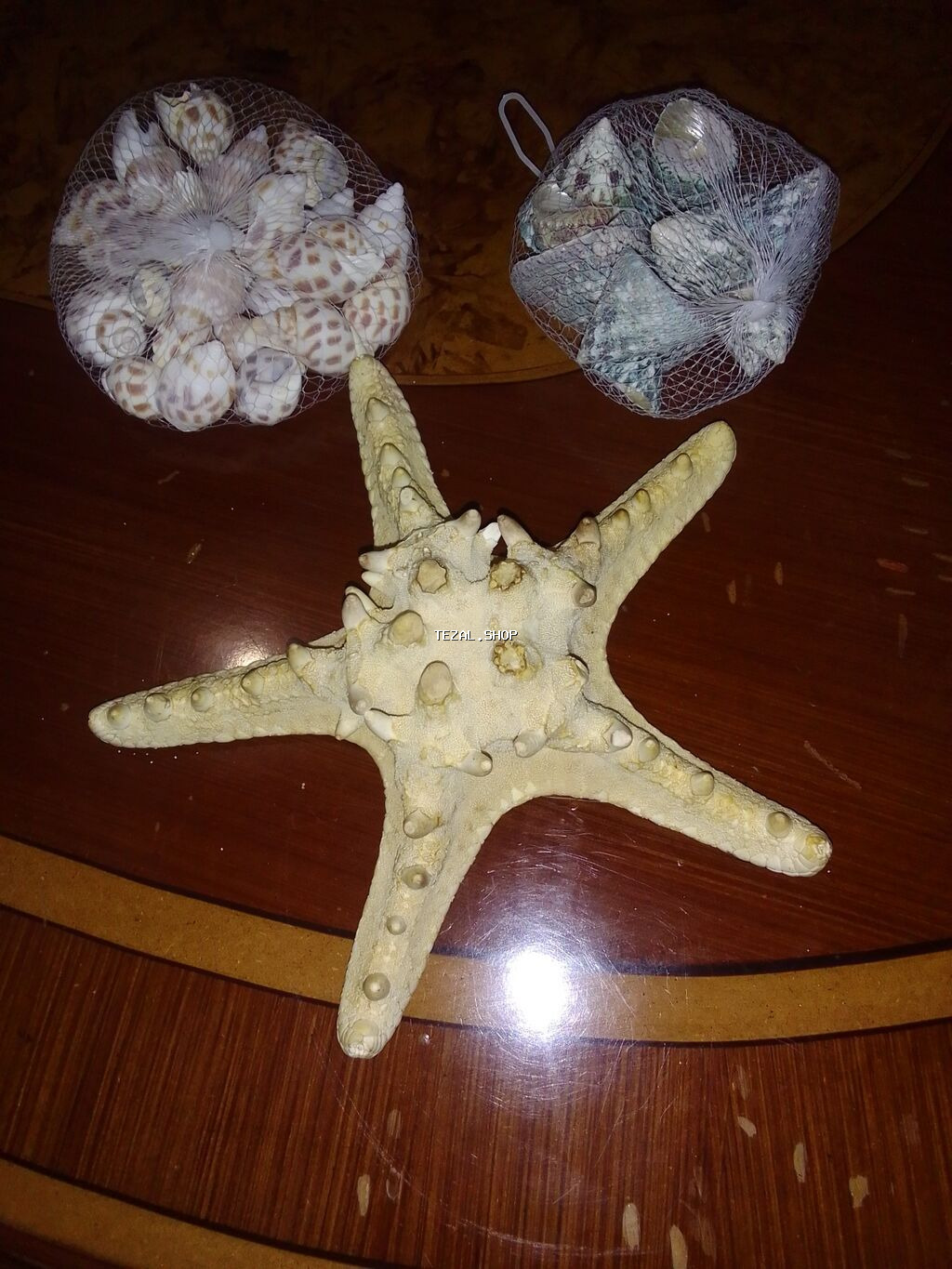 Tebiidiler meduza Türkiyədən qara denizdendi hamsi bir yerde 25m