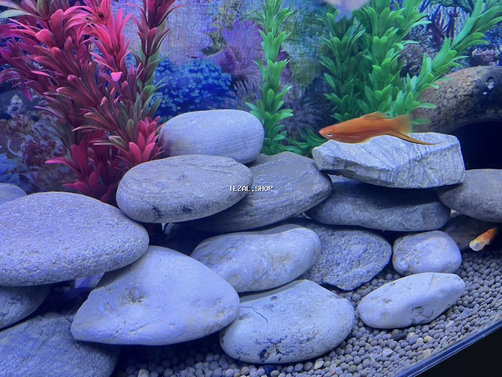 Akvaryum üçün tebi dekorativ çay daşları seti bir ededi 2 azn